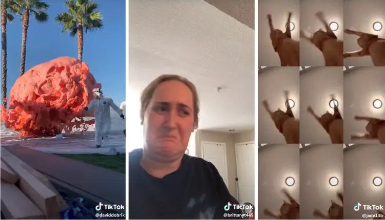 You are currently viewing <strong>What’s The Most Shared Video on TikTok, from Zach King to Khaby Lame</strong>