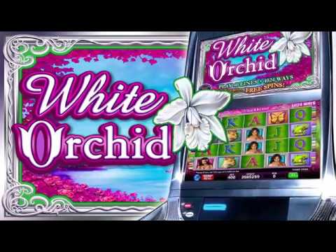White Orchid Slot