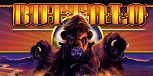Read more about the article 10 Explosive Buffalo Stampede Slot Machine Tips for Mega Wins